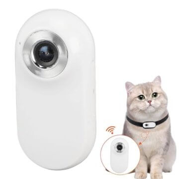 Jectse Katzenhalsband-Kamera, HD 1080P-Hunde-Tracker-Halsband mit Rückenclip-Taschenriemen, Anti-Shake-Haustier-Sport-Action-Kamera für Videoaufzeichnungen, über USB Wiederaufladbare, - 1