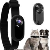 Kexpery HD 1080P Kabellose Halsband, kein WLAN erforderlich, Haustier, Baby, Hund, Katze, Halsband, Überwachungs mit Videoaufzeichnungen für Katzen, Hunde, Geburtstagsgeschenk (schwarz) - 1